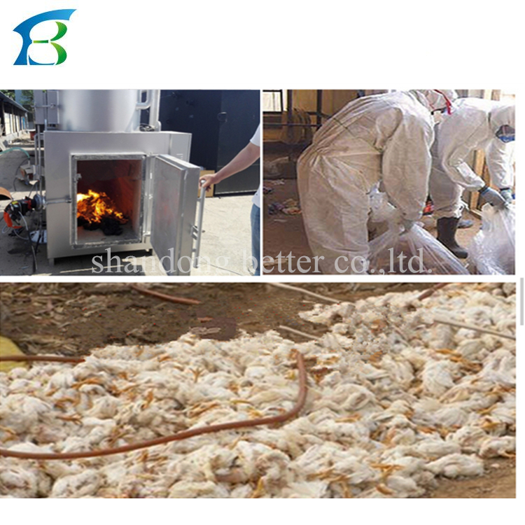 QQ图片20200331141803