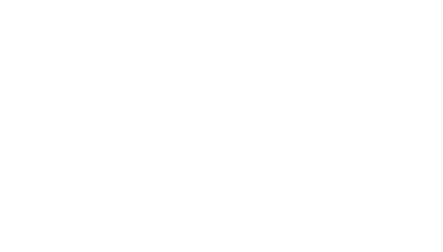 logo2